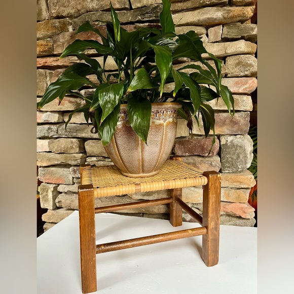 VTG Cane Stool Plant Stand Woven Boho Wood Bohemian Decor Vintage - Picture 2 of 10